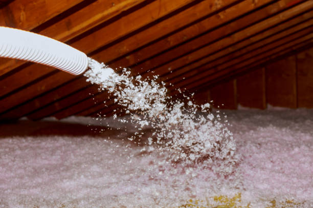 Best Commercial Insulation in Williamsburg, VA