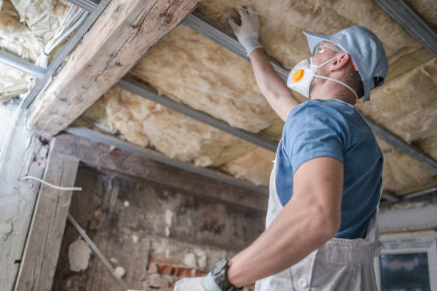Types of Insulation We Offer in Williamsburg, VA