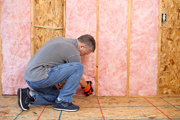 Best Energy Efficiency Insulation in Williamsburg, VA
