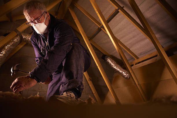 Best Residential Insulation in Williamsburg, VA