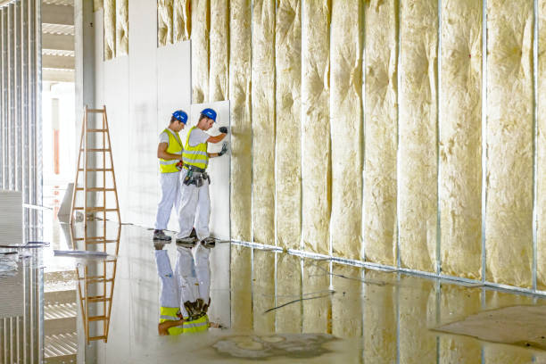 Best Spray Foam Insulation in Williamsburg, VA